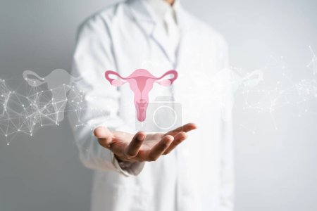 Foto de Doctor en una bata blanca que sostiene el sistema reproductivo del útero virtual, salud de la mujer, SOP, ovario ginecológico y cáncer de cuello uterino, concepto femenino saludable - Imagen libre de derechos