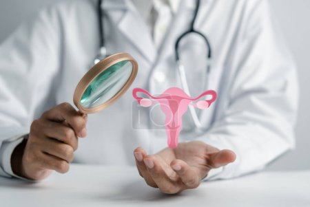 Téléchargez les photos : Médecin en manteau blanc check-up du système reproducteur utérin, la santé des femmes, SOPK, traitement du cancer de l'ovaire et examiner, concept féminin sain. - en image libre de droit