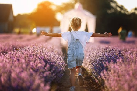 Photo for Back view of happy child girl runs raising her hands like flying plane in lavender field on summer warm day. Hyperactive little kid in sunglasses dreams of flying in nature. Children's fantasies - Royalty Free Image