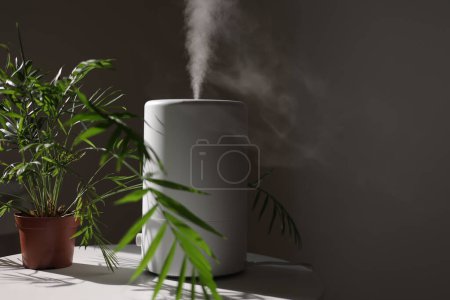 Air purifier and humidifier releases strong stream of cold steam close green houseplant. Care and hydration of houseplants in dry air. Healthy lifestyle concept. Fresh air, cleaning and removing dust.