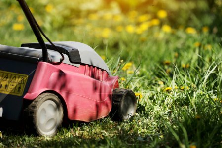 Hand electric red Lawnmower during the first mowing of a green fresh lawn with spring flowers, sunlight. Home garden care. Garden and backyard landscape lawnmower service and maintenance. sunlight