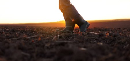Agriculture. Cropped shot of view businessman farmer in rubber boots walks along plowed field. Agronomist checking and analyses fertile soil on sunrise. Agribusiness