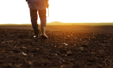 Agricultura. Recortado tiro de vista trasera empresario agricultor en botas de goma camina a lo largo de campo arado con tableta digital. Control agrónomo y análisis de suelos fértiles al amanecer. Agroindustria