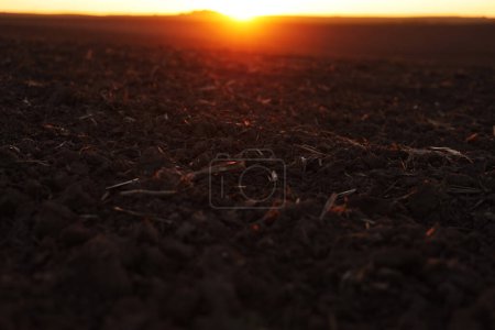 Téléchargez les photos : Concept d'agriculture et d'agro-industrie. Belle vue paysage rural de grand champ agricole labouré de sol noir sur le coucher de soleil orange. Préparation des terres agricoles pour l'ensemencement et la plantation de légumes - en image libre de droit
