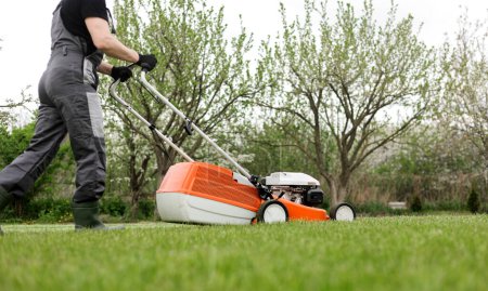 Photo for Professional gardener in protective apparel is mowing green grass lawn using modern gasoline cordless lawnmower at backyard. Seasonal landscaping design work. Blooming trees on background. - Royalty Free Image