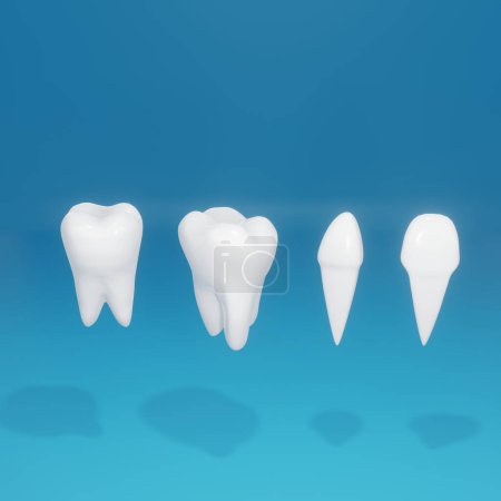 Téléchargez les photos : Tous les types de dents humaines 3d rendre l'image - en image libre de droit