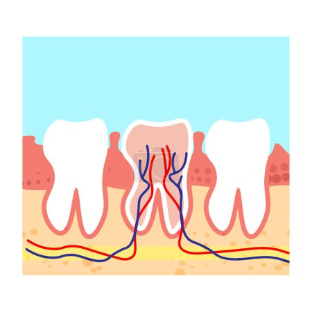 Zahnpflegekonzept. Stomatologie. Vektorillustration im flachen Stil