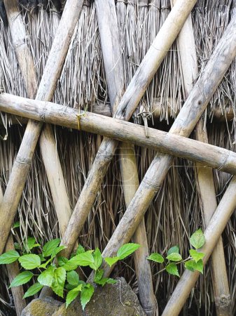 Photo for Bamboo lattice natural indigenous construction over straw thatch with bright green plant foliage at the bottom, natural vertical background pattern - Royalty Free Image