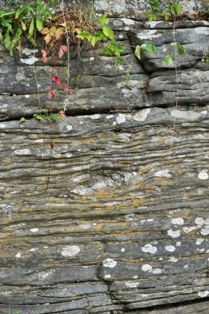 Photo for Vertical view of natural stone formation with horizontal grooves and cracks - Royalty Free Image