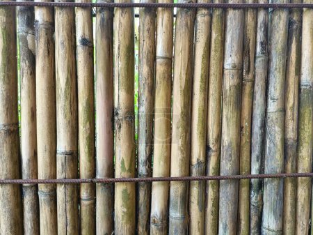 Photo for Weathered natural bamboo fence with rusty iron bars at top and bottom horizontal background texture - Royalty Free Image