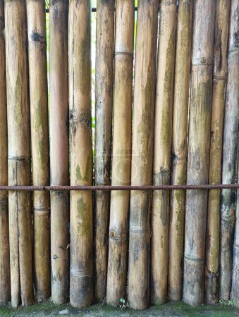 Photo for Vertical bamboo fence section with a rusted iron rebar just below the middle - Royalty Free Image
