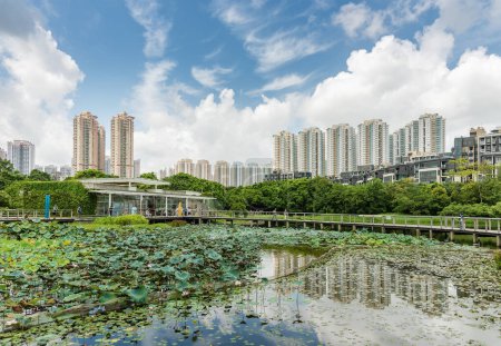 Téléchargez les photos : Bâtiment résidentiel de grande hauteur et site naturel du parc humide de Hong Kong - en image libre de droit