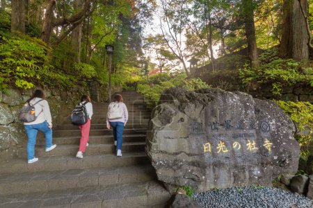 Foto de Paseo turístico en Patrimonio de la Humanidad - Santuarios y Templos de Nikko, Japón. La redacción japonesa sobre roca significa Patrimonio de la Humanidad, Santuarios y Templos de Nikko - Imagen libre de derechos