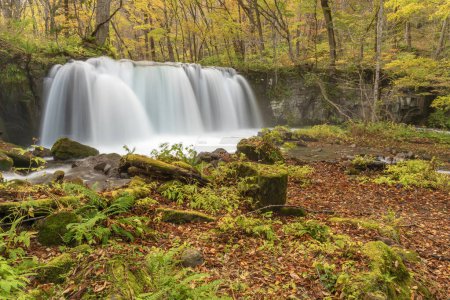 Photo for Idyllic scenery of waterfall in Oirase Stream, Aomori, Japan - Royalty Free Image