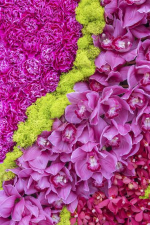Mixed colorful flower background. Vibrant colors of mixed flowers backdrop