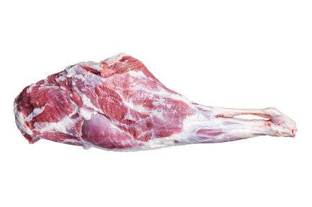 Mutton meat. Raw whole lamb leg thigh on butcher board. Isolated on white background