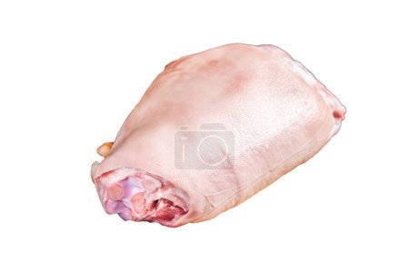Photo for Raw pork ham hocks on a steel plate with herbs. Isolated, white background - Royalty Free Image