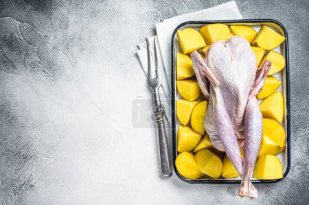 Cooking of Raw guinea fowl with potato in baking dish. White background. Top view. Copy space.