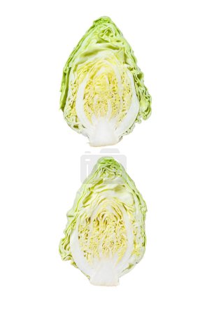 Photo for Raw Cutting Pointed white cabbage head Isolated on white background. Top view - Royalty Free Image