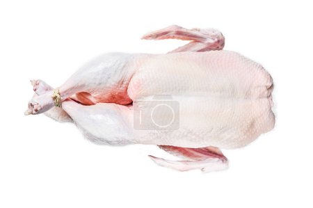 Photo for Raw whole duck, poultry meat. Isolated on white background. Top view - Royalty Free Image