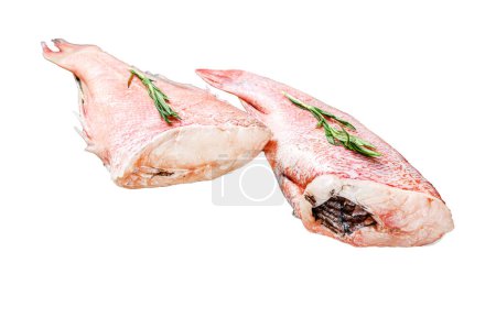 Whole raw fresh red perch or seabass fish. Isolated on white background. Top view