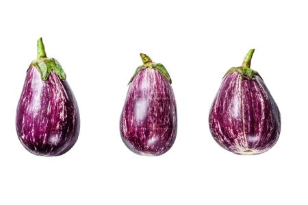 Raw small purple Asian eggplants. Isolated on white background. Top view
