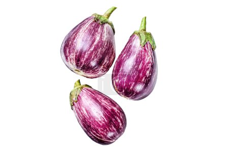 Raw small purple Asian eggplants. Isolated on white background. Top view