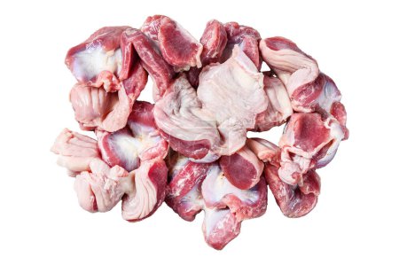 Raw uncooked chicken gizzards, stomach. Isolated on white background. Top view
