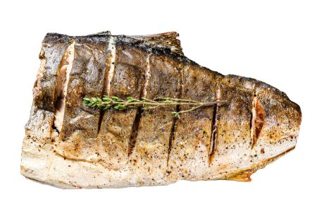 Grilled Yellowtail, Japanese amberjack fillet Isolated on white background. Top view