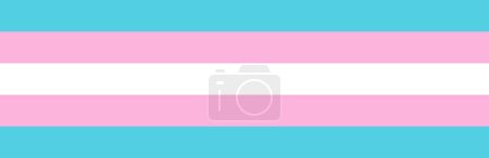 Transgender LGBTQ pride flag in vector