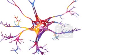 Téléchargez les illustrations : Neuron aquarelle colorée vecteur illustr - en licence libre de droit