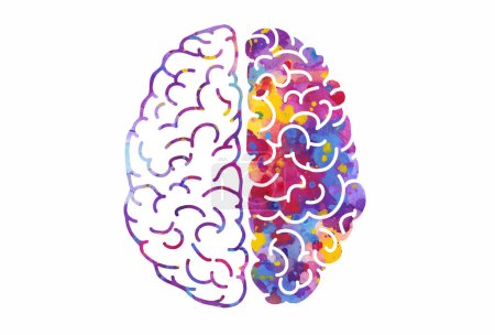 Watercolor brain, left and right hemispheres. Vector