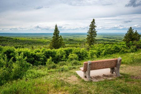 Eine Bank mit Blick auf den Aussichtspunkt im Cypress Hills Interprovincial Park, Saskatchewan