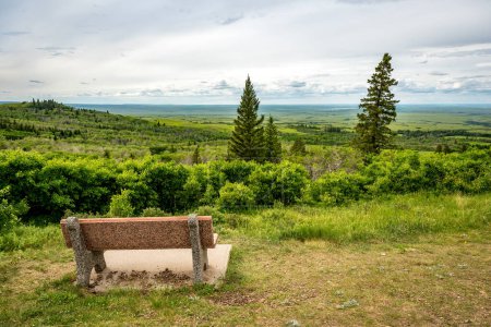 Foto de Un banco con vistas al mirador en Cypress Hills Interprovincial Park, Saskatchewan - Imagen libre de derechos