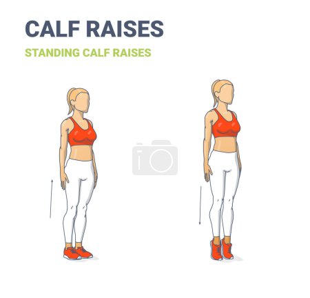 Illustration for Calf Raises Exercise. Woman Bodyweight Home Workout Guidance. Girl Doing Standing Calf Raises. - Royalty Free Image