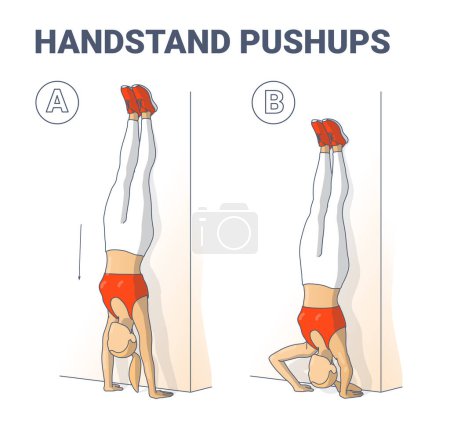 Ilustración de Ejercicio Handstand Push-Ups. Women Bodyweight Home Workout Guidance (en inglés). Girl Doing Handstand Pose y Pushups para la fuerza de la mano. - Imagen libre de derechos