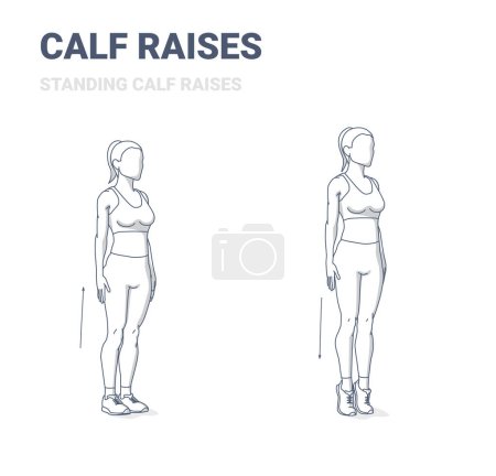 Illustration for Calf Raises Exercise. Woman Bodyweight Home Workout Black and White Guidance. Girl Doing Standing Calf Raises. - Royalty Free Image
