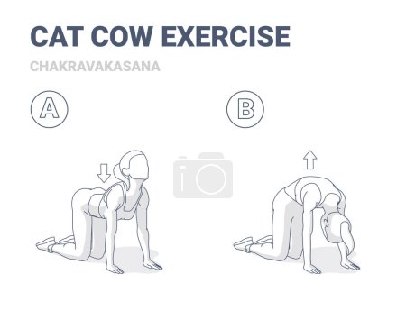 Téléchargez les photos : Cat Cow Exercise, Female Home Workout Routine Guidance. Concept noir et blanc esquissé de fille Chakravakasana Yoga Pose jeune femme en vêtements de sport faire l'exercice de remise en forme. - en image libre de droit