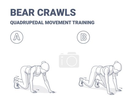 Illustration for Bear Crawls Exercise, Woman Home Workout Routine Guidance. Outlined Concept of Girl Quadrupedal Movement Home Training a Young Female in Sportswear do the fitness exercise - Royalty Free Image