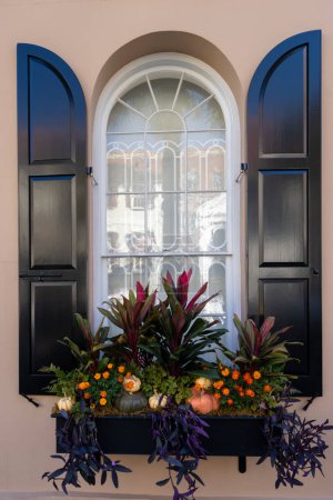 Téléchargez les photos : A beautiful window box on the exterior of a house in Charleston, South Carolina - en image libre de droit