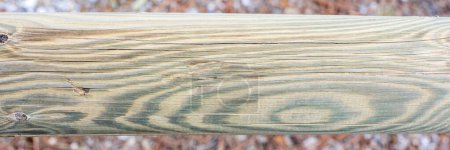 Téléchargez les photos : Detail of the grain of several wooden logs, texture - en image libre de droit