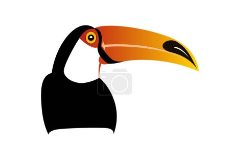 Dibujo abstracto colorido de pájaro tucán aislado sobre fondo blanco - ilustración vectorial