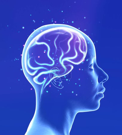 Neurologie, Philosophie: Verbindungen, die Entwicklung von Denken und Reflexion, die unendlichen Möglichkeiten von Gehirn und Geist. Menschliche Anatomie. Digitale Realität, künstliches Bewusstsein