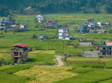 Téléchargez les photos : Vue aérienne d'un paysage rural népaléen près du lac de Bagnes, rizières et maisons, travaux agricoles. Lekhnath, Pokhara. Népal. 10-7-2023 - en image libre de droit