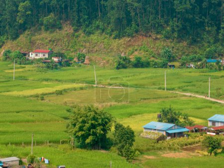 Téléchargez les photos : Vue aérienne d'un paysage rural népaléen près du lac de Bagnes, rizières et maisons, travaux agricoles. Lekhnath, Pokhara. Népal. 10-7-2023 - en image libre de droit
