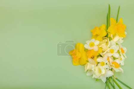 Photo for Festive spring composition with assorted blooming daffodils. Traditional seasonal flora, greeting card. Pastel green background, top view - Royalty Free Image