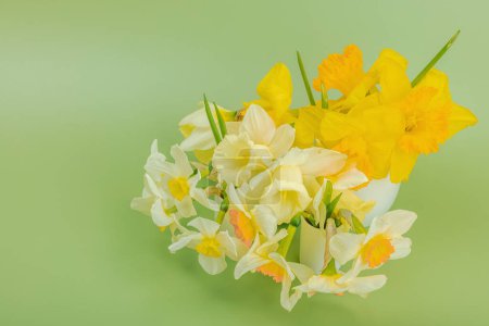 Photo for Festive spring composition with assorted blooming daffodils. Traditional seasonal flora, greeting card. Pastel green background, copy space - Royalty Free Image