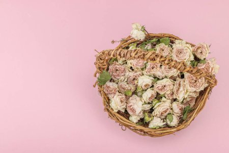 Photo for Creative composition with dry delicate roses in homemade wicker basket. Greeting card, pastel pink background, top view - Royalty Free Image
