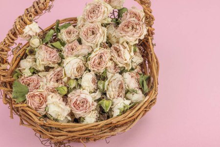 Photo for Creative composition with dry delicate roses in homemade wicker basket. Greeting card, pastel pink background, close up - Royalty Free Image
