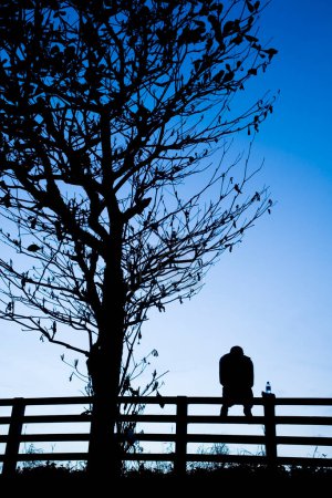 Photo for Silhouette of a man sitting alone at the fence near the withered tree with a dark blue sky background. - Royalty Free Image